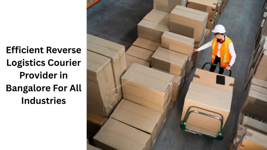 Logistics Courier Provider in Bangalore
