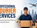 Professional Courier Services
